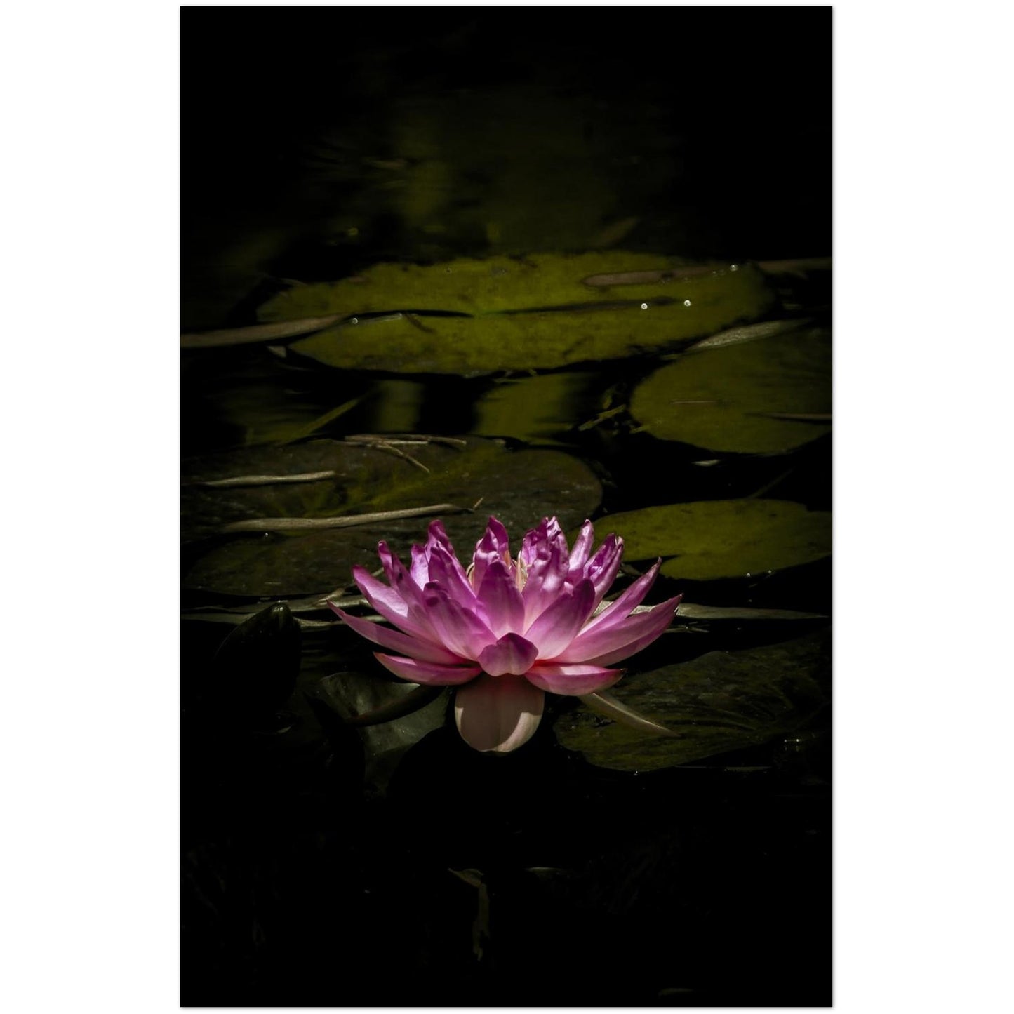 2a7f5691-ea15-4a84-b85c-0d46d7e8d986