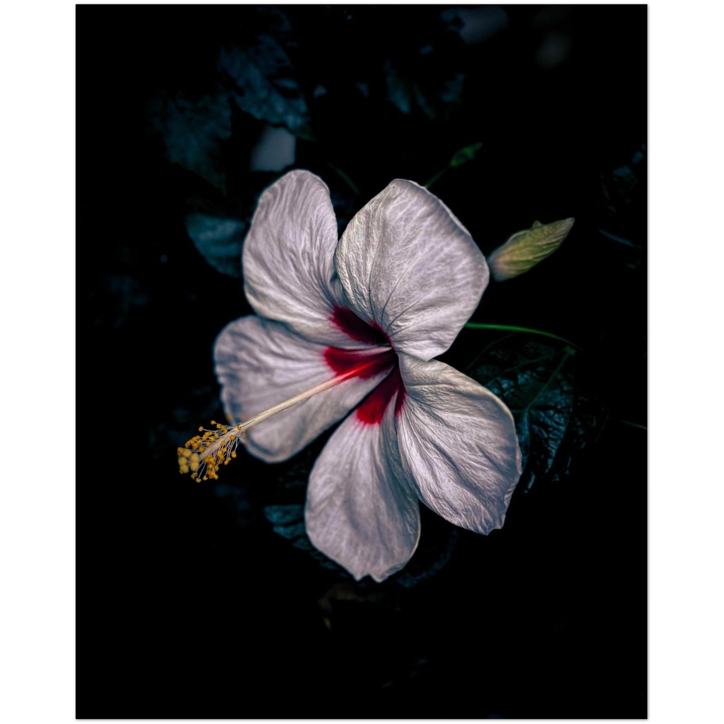 2b7ceb6d-c5e2-4e9b-a2f0-29ff2893e5b1