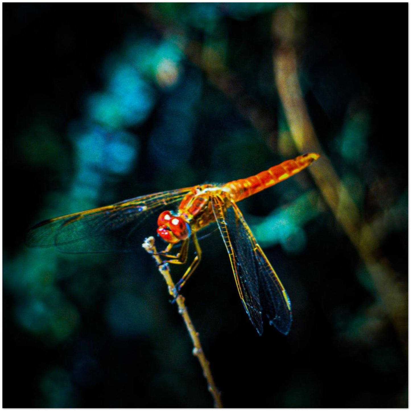 2b983920-95d7-47f5-ba0a-c0665f81f57a