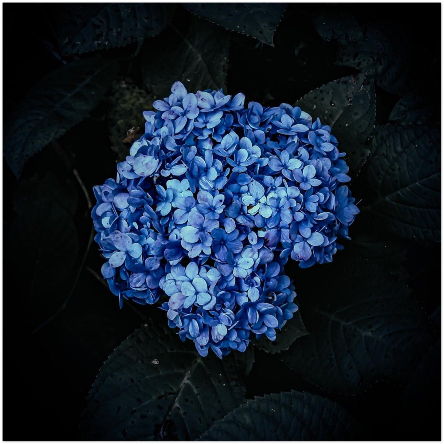 2bd6ac0a-ba69-4de6-a261-5c7e7aac1cd5