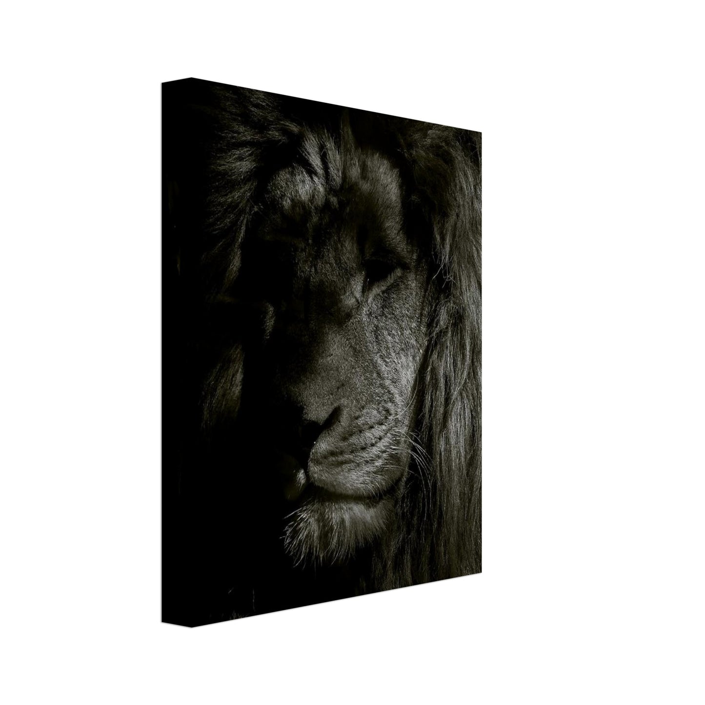 2c98dcda-12a0-4345-b038-e379d1635440