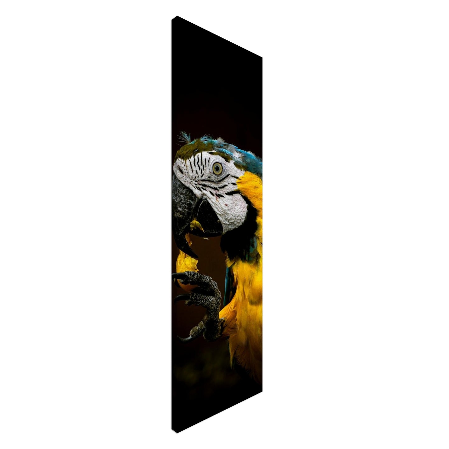 2cd3e36f-5a11-46a9-a1f7-47c67a492bd2