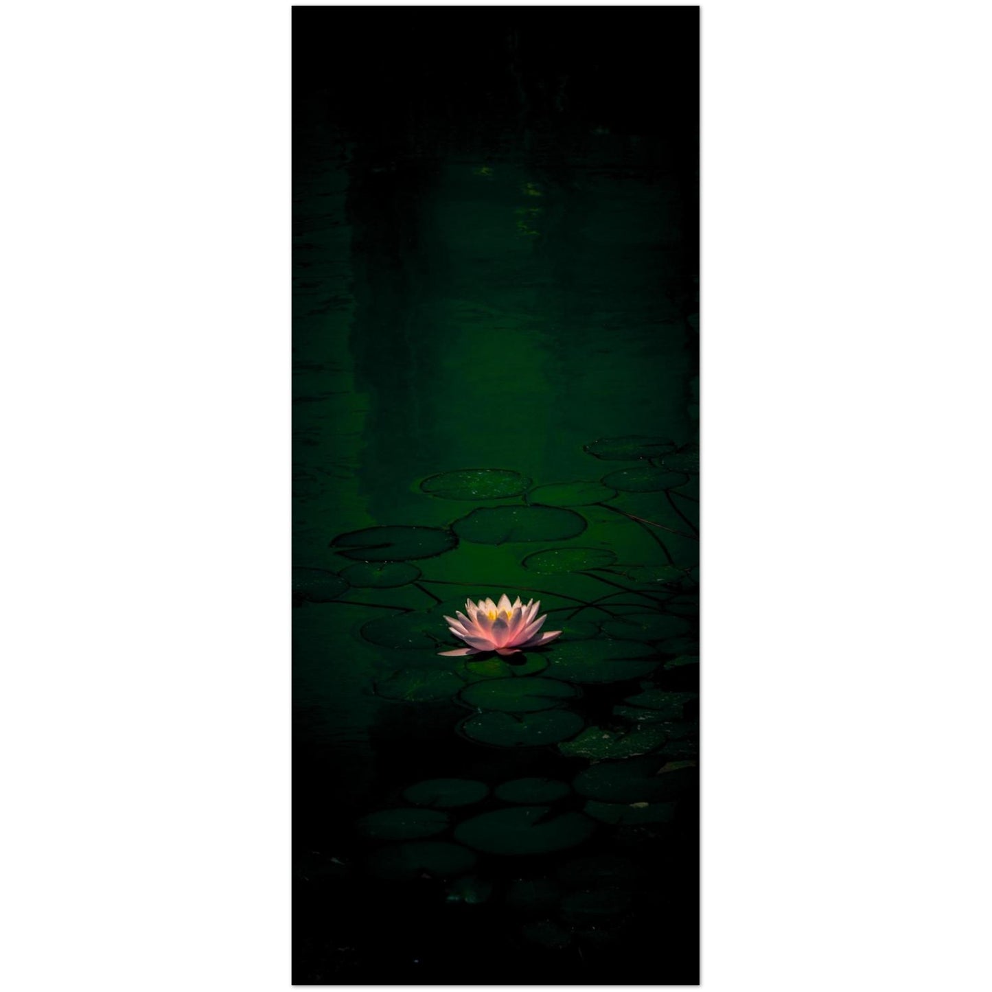 2e4b11c6-5473-4daa-aca6-3cd16ad45850