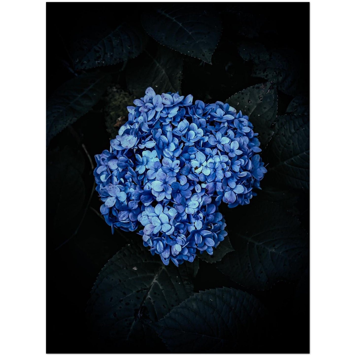 2e5994b1-96ec-48be-aab7-3aed4115cf10