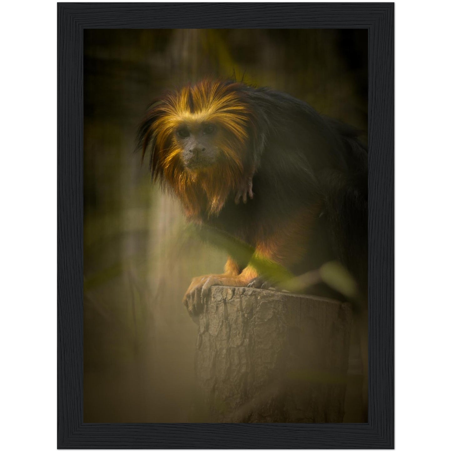 2f67931d-8529-43c1-be4f-4a75b75ca5b4
