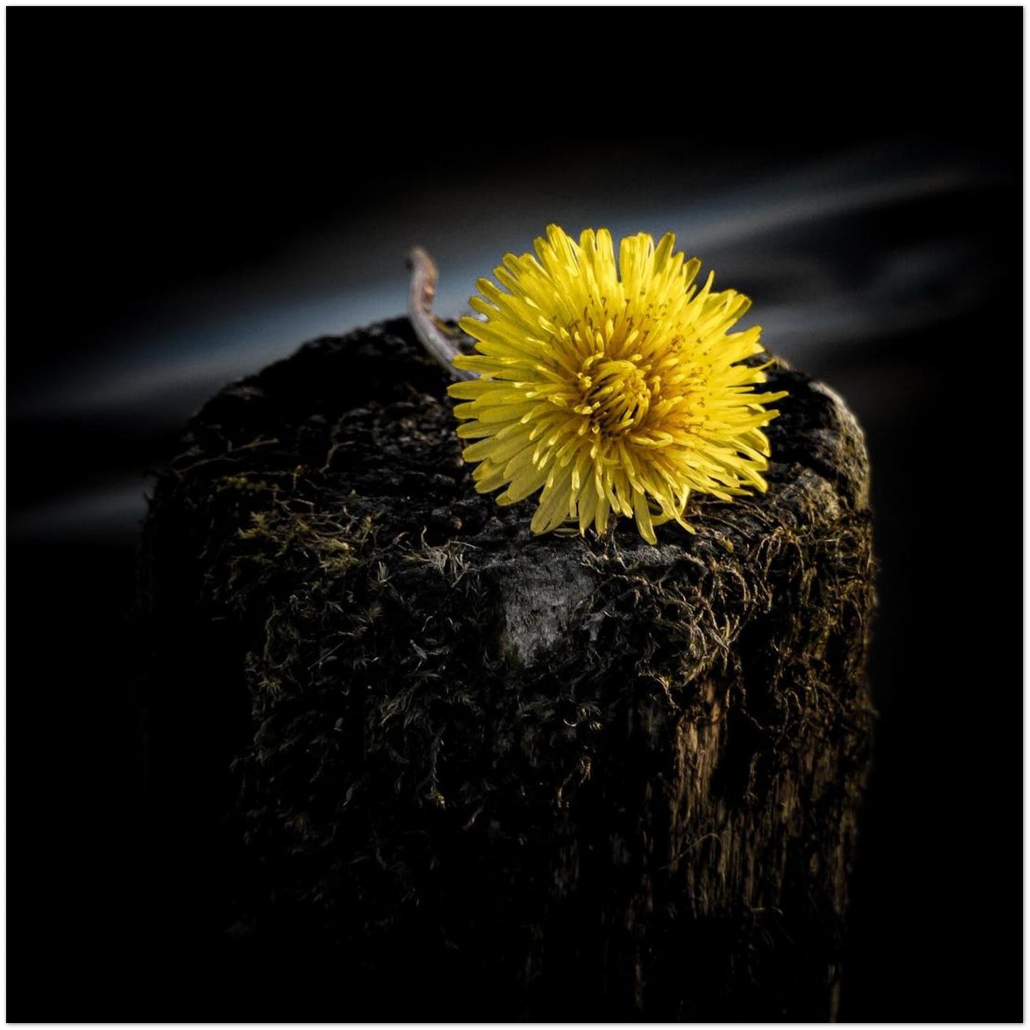 2f905322-a982-4b55-a9cd-26333ed9caa3