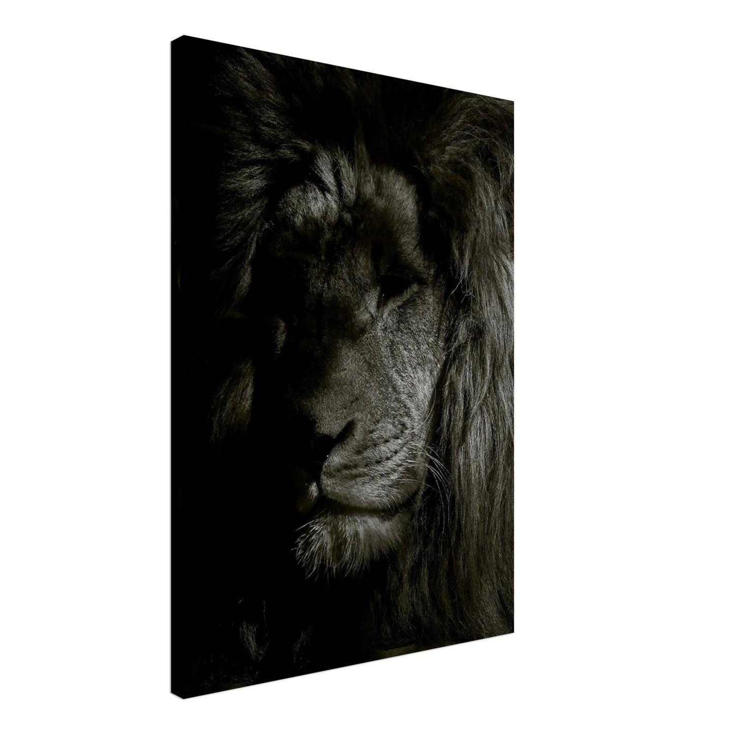 31183b92-cda9-458c-8158-67910c5b8932