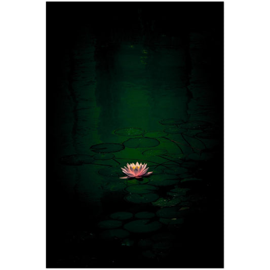 32b4d5a6-b0b2-4d61-ae2c-01819da76b4b