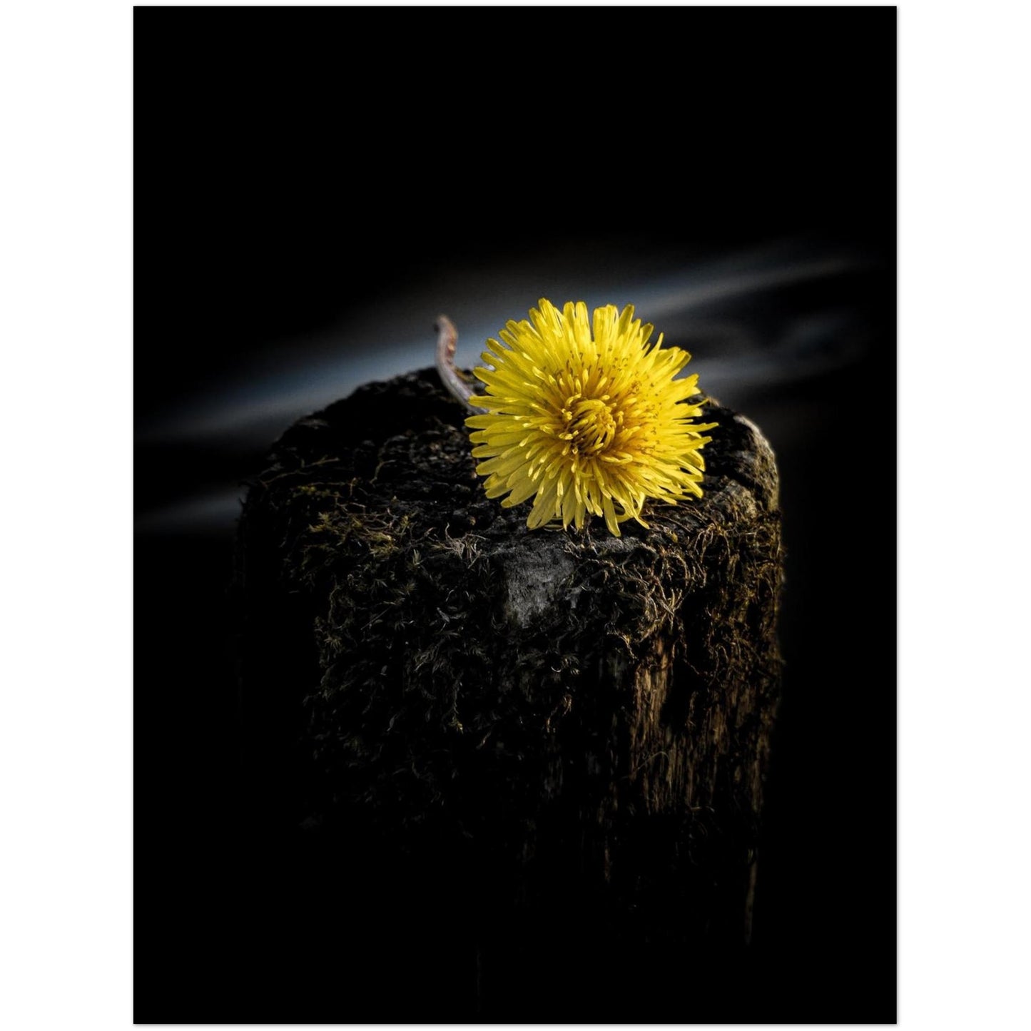 3359a79a-e86e-4ab8-a002-4e2d23819ad8