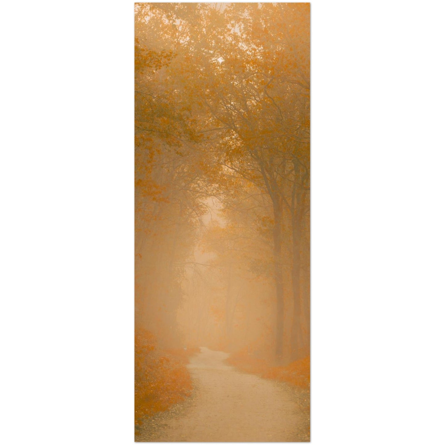 356b91cc-0315-4cf2-ba5f-811f3b91d2e4