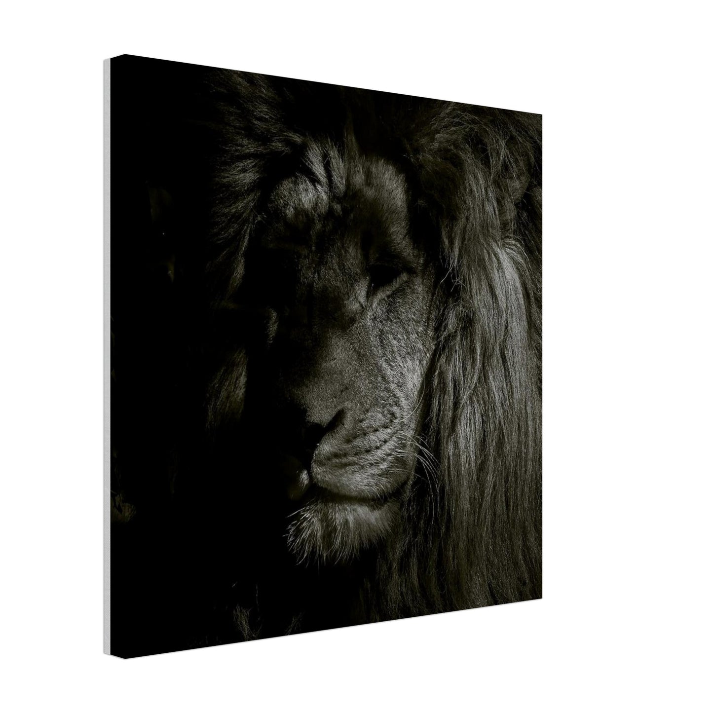 371620c6-2b88-4a4d-8bf3-2555ead4bf2f