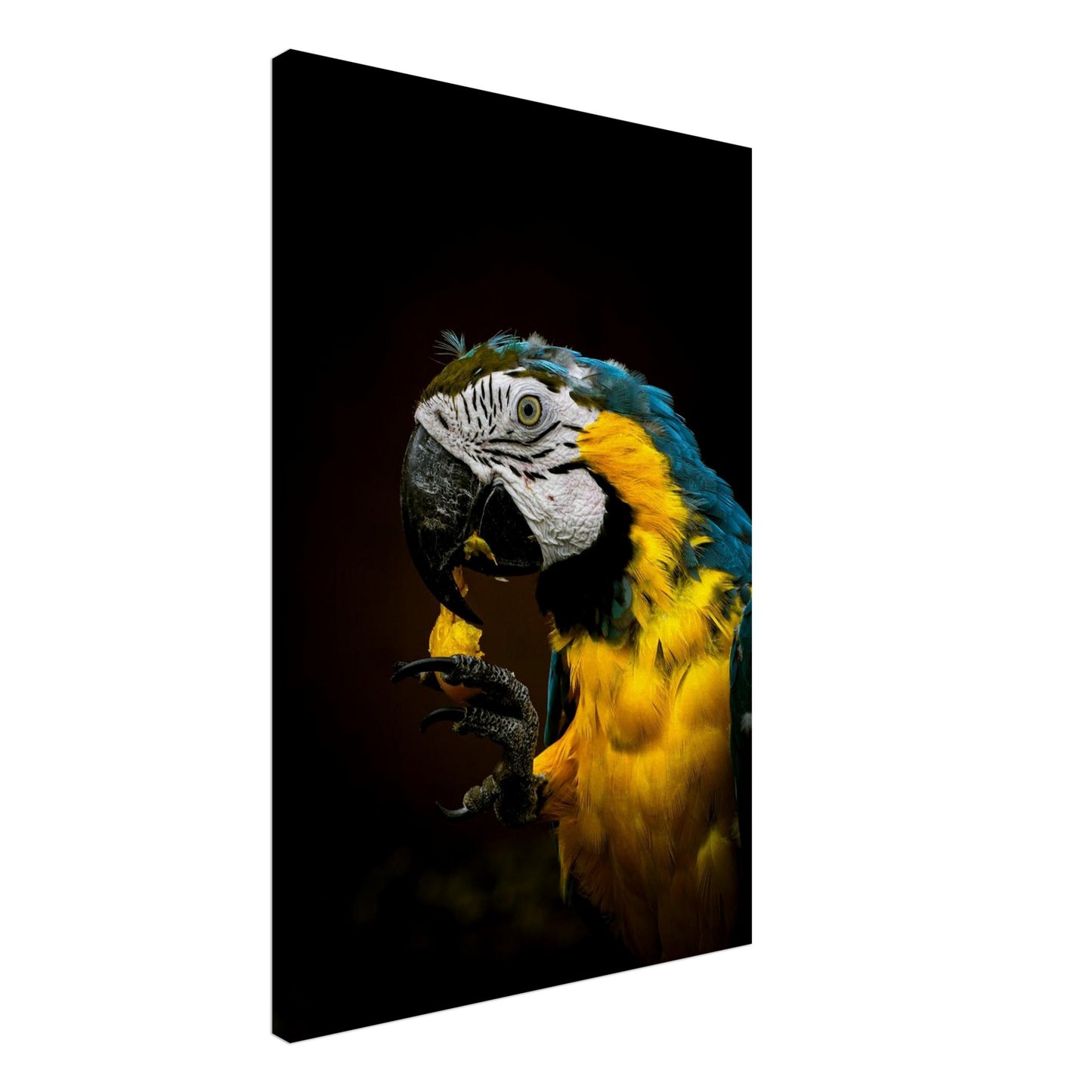 3837ea06-2128-48c4-bf8b-7dd900bfe5aa