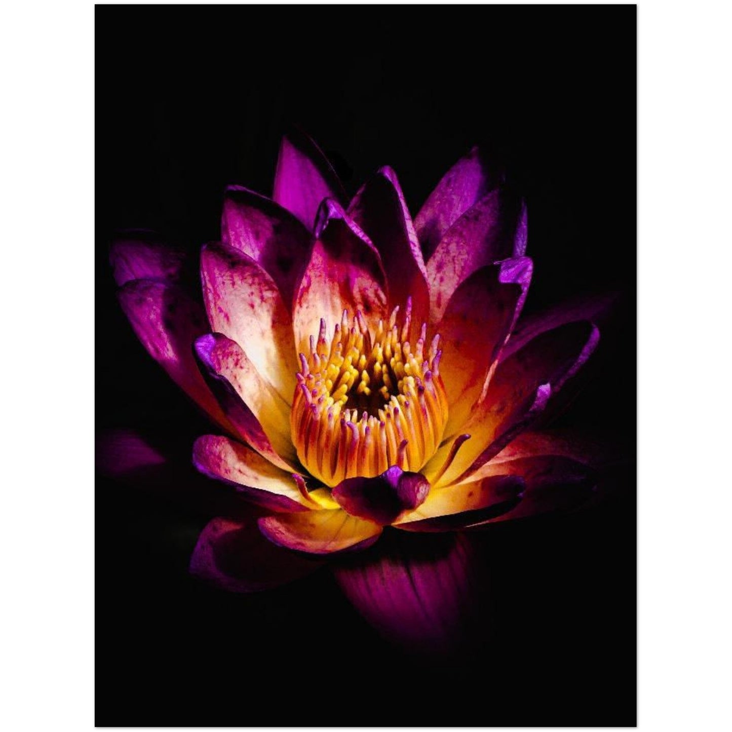 38d48d52-30b6-47ca-9052-bf7463b94b80