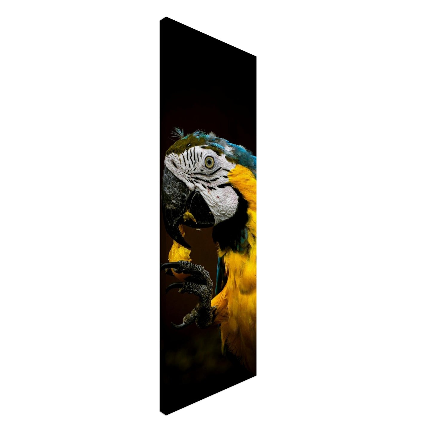 39204342-6b58-497c-842c-52eb3044da83