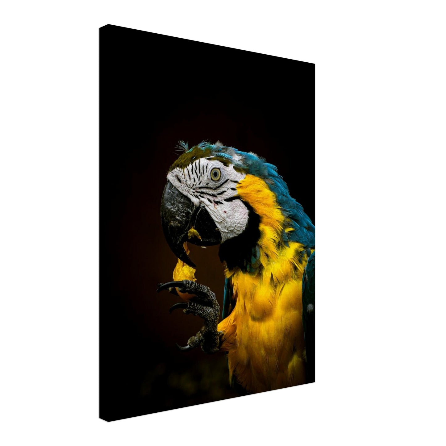 3a5d8a6a-8181-4768-964e-2602419b93c0