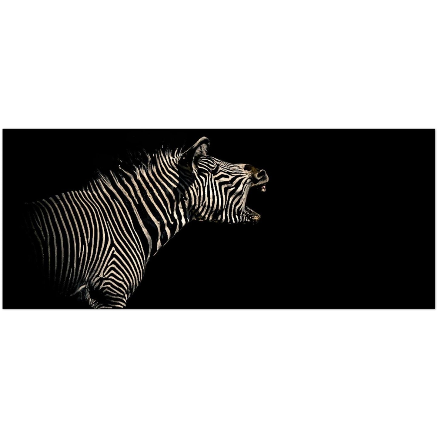 3a726369-b48c-4fc8-be2e-f1925e0dc0ef