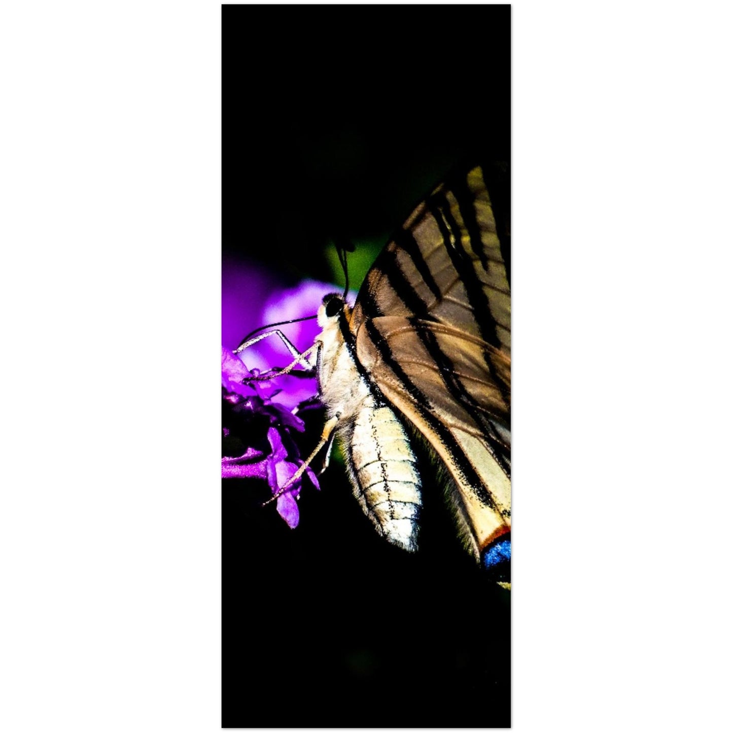 3a95eff8-605c-478a-a0b5-d3b5b6047011