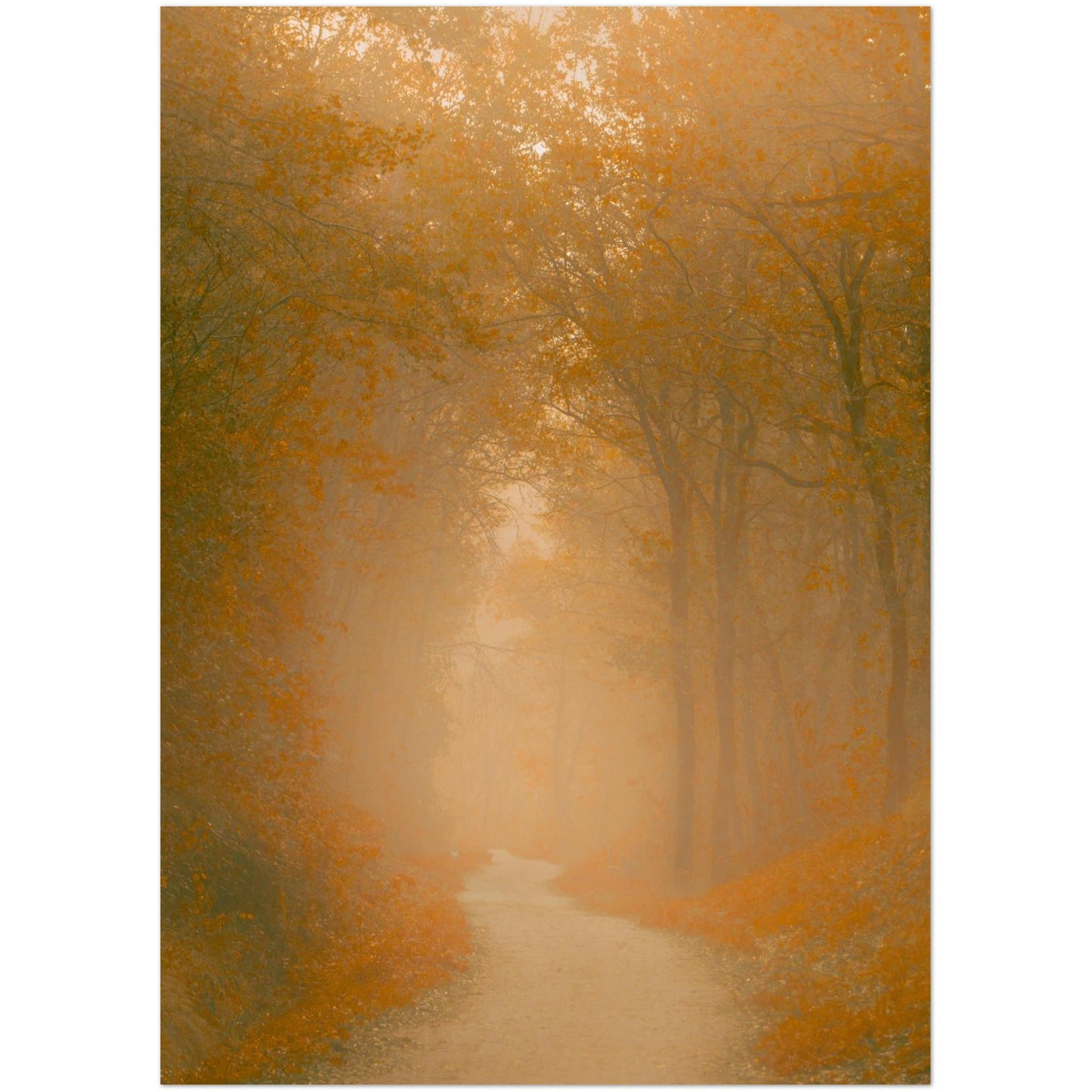 3c63a294-f039-43dd-a2d0-859916b0d4cc