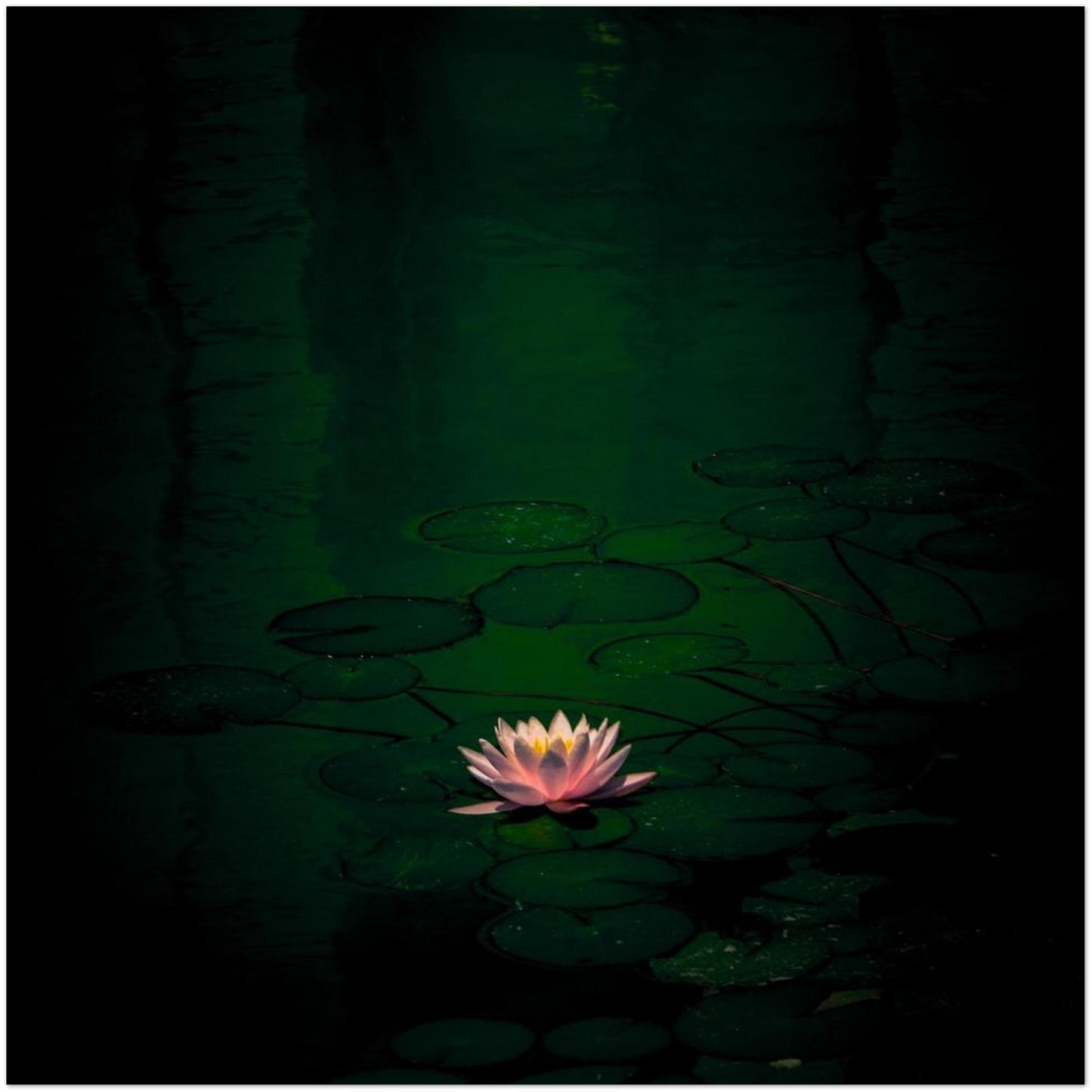 3ceecdeb-81a7-49ff-b3ee-ec426bdca994