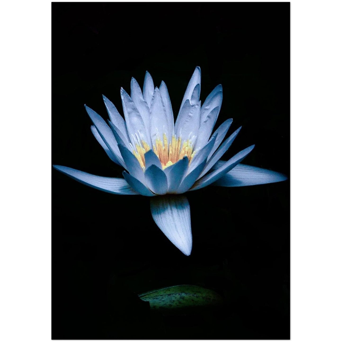 3d49d96e-f6cd-4c97-aa28-39417fa2ff6d