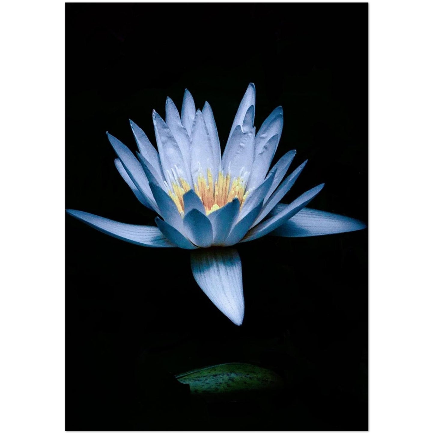 3d7ef63d-f20b-4844-ab32-068e8e0963d0