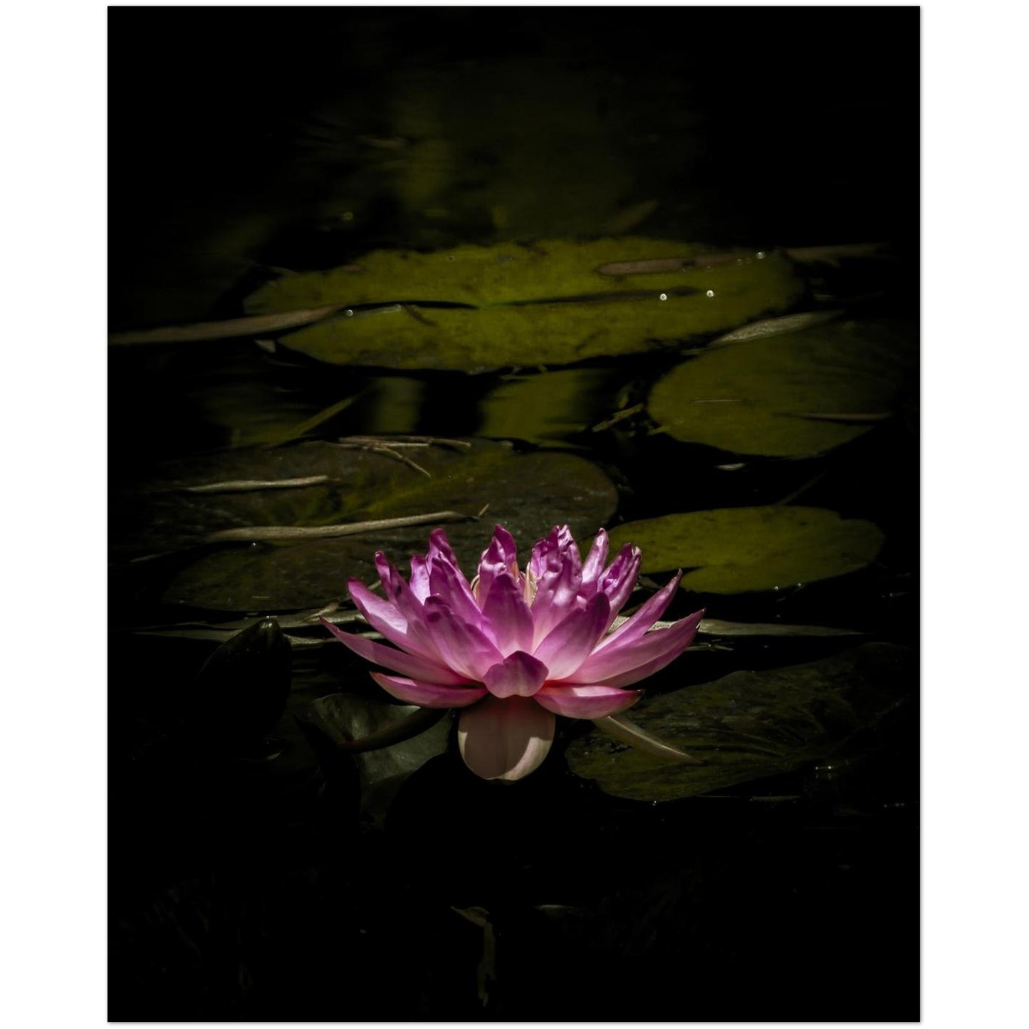 3e1c4d03-17d1-41b6-97da-d51e351f63fe