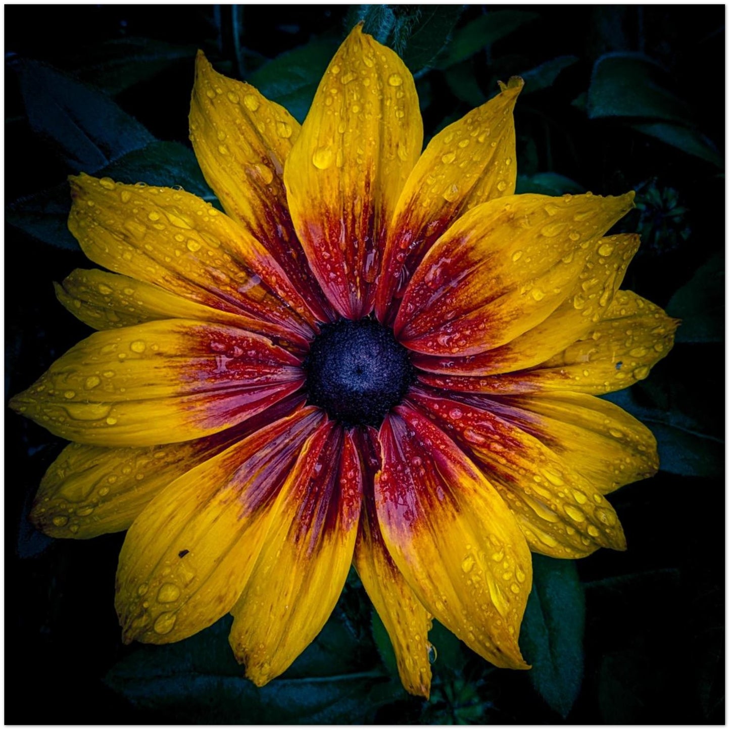 3e38e584-b0fe-4b1d-b8ac-989c71bf6540