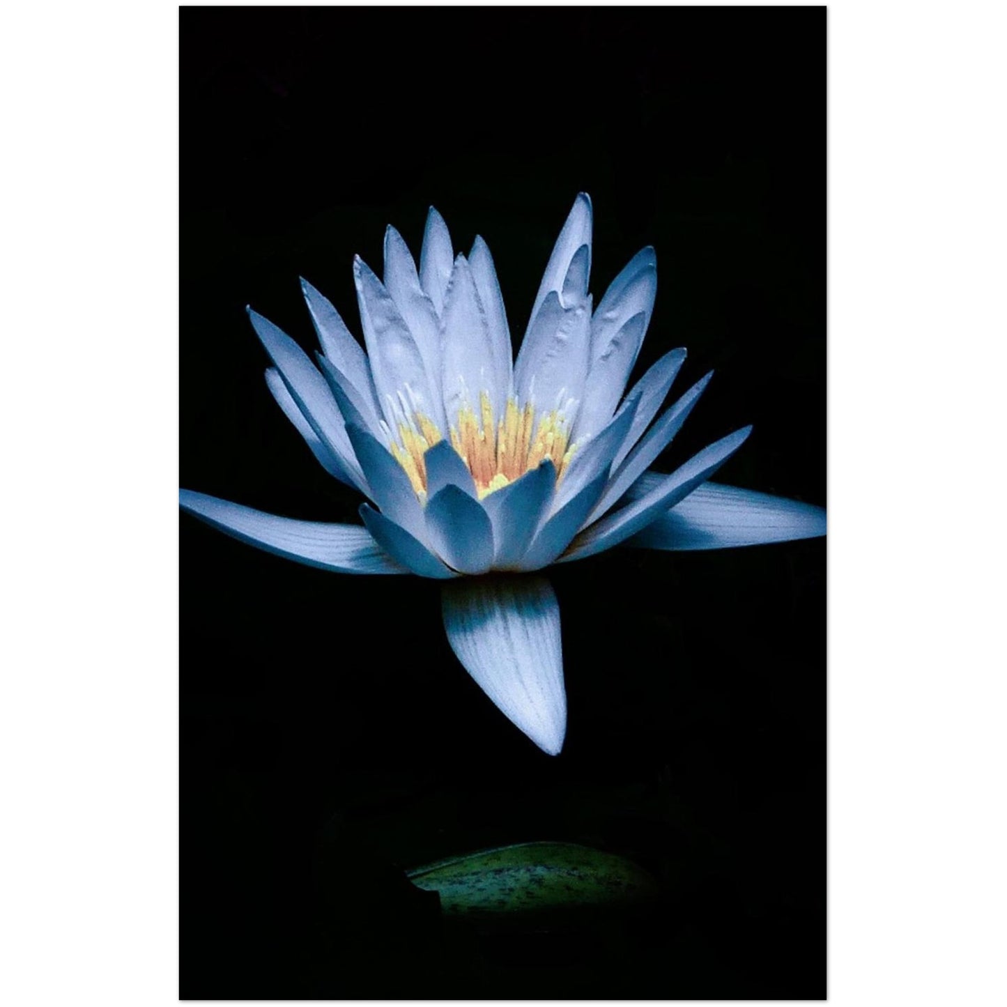 42c8f668-7ad0-424e-8913-42cb604ccc7f