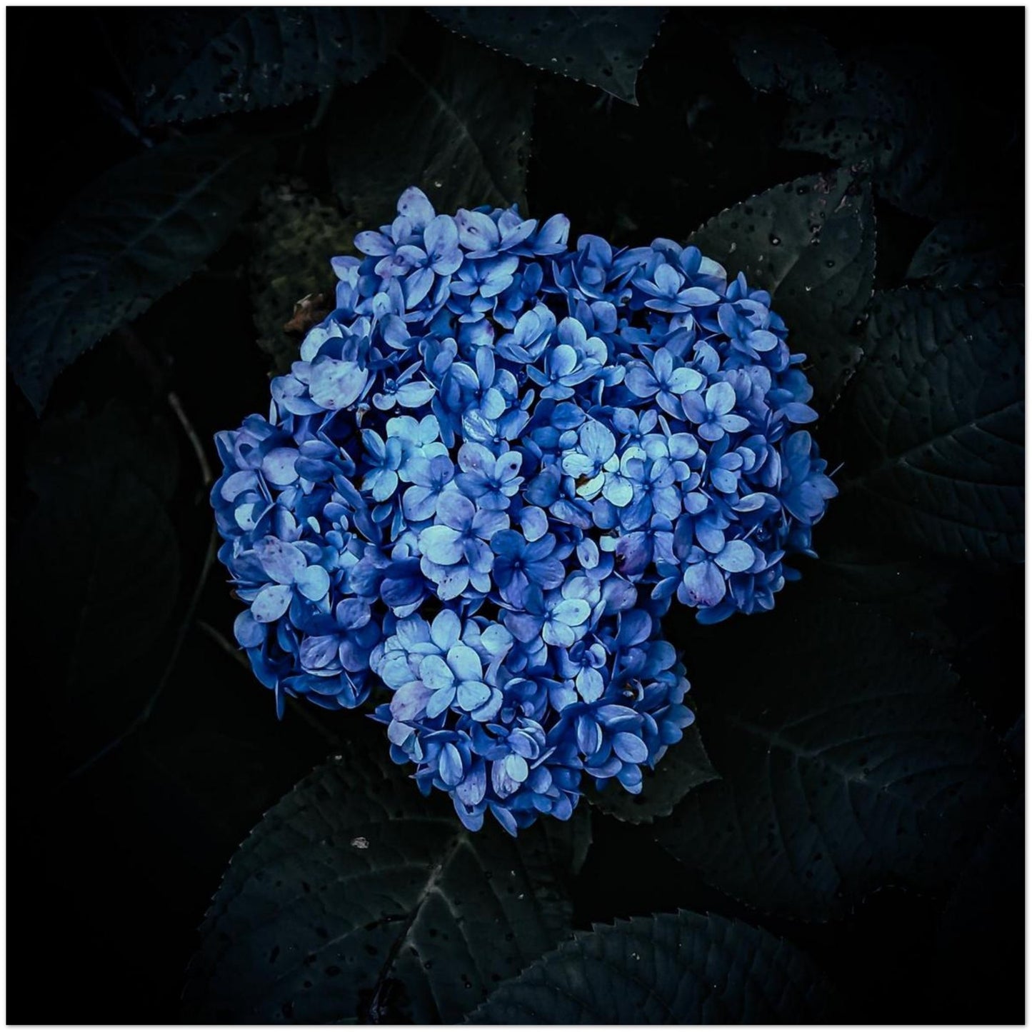 432c9395-4084-4e48-8650-35a400b8ae7b