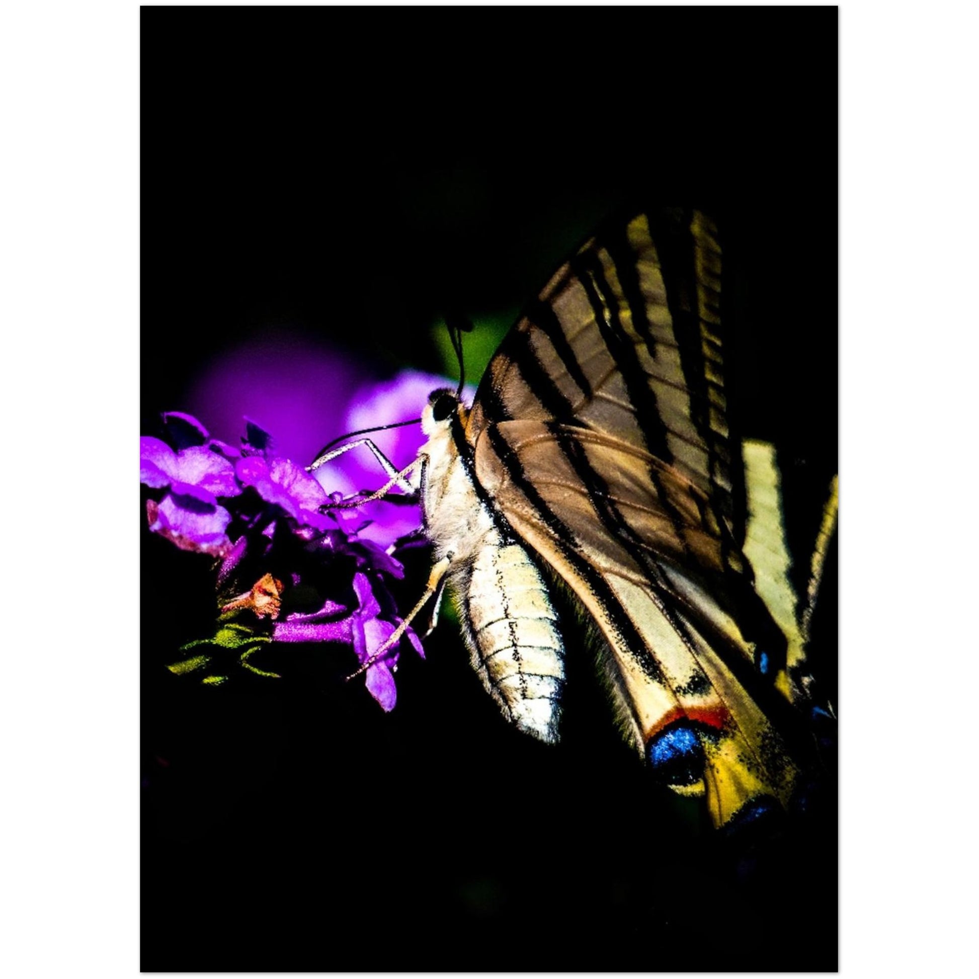 4396001c-5a77-4065-95b4-1899656b805f