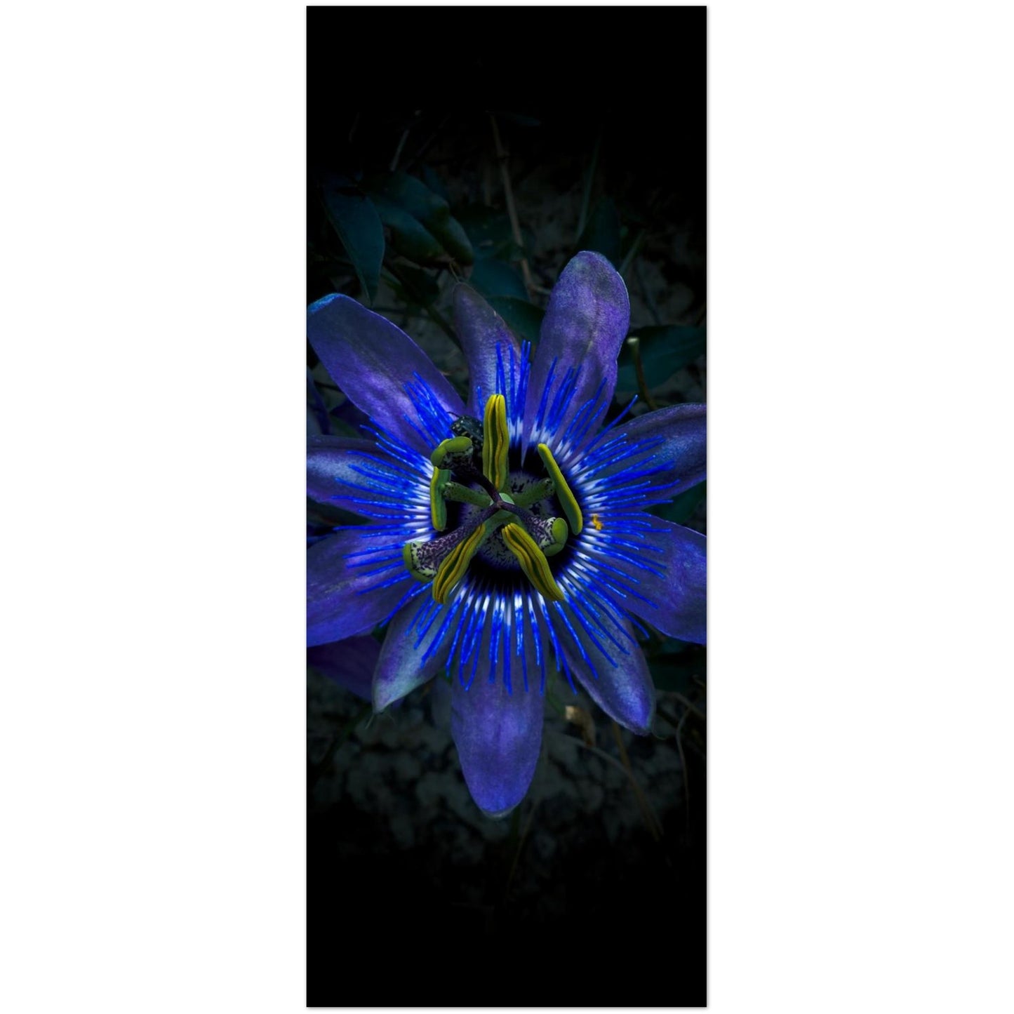 45497af1-e1bc-48f4-805b-a82a2cc101fa