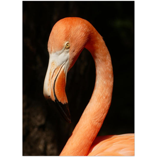 4662f434-0fb0-40c9-8612-5e677008c6c7