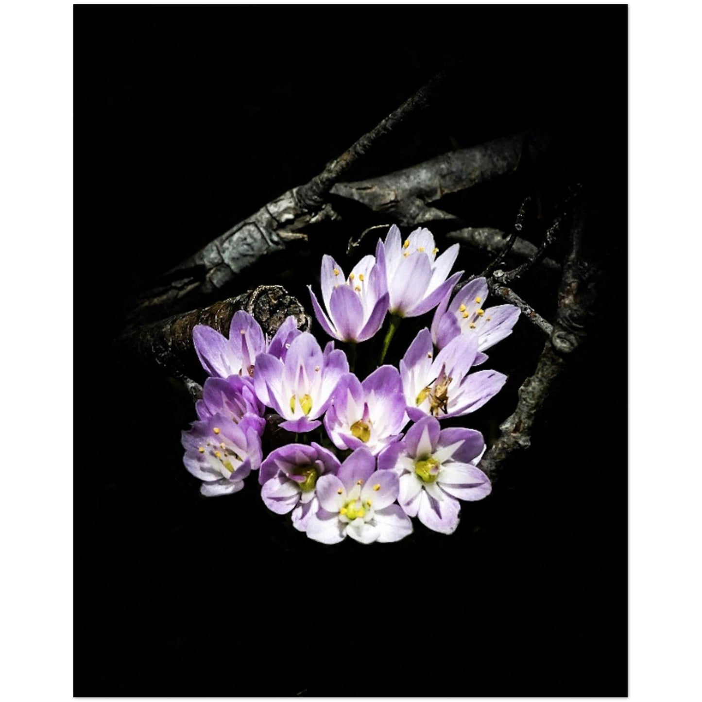 466623d8-9264-457a-88cd-de15191ebdb5