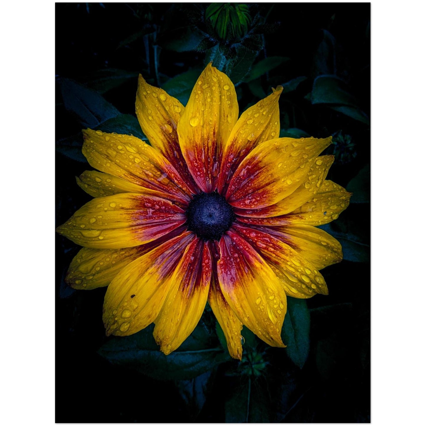 46af65e0-e2c6-421b-af24-f42d60e8e690