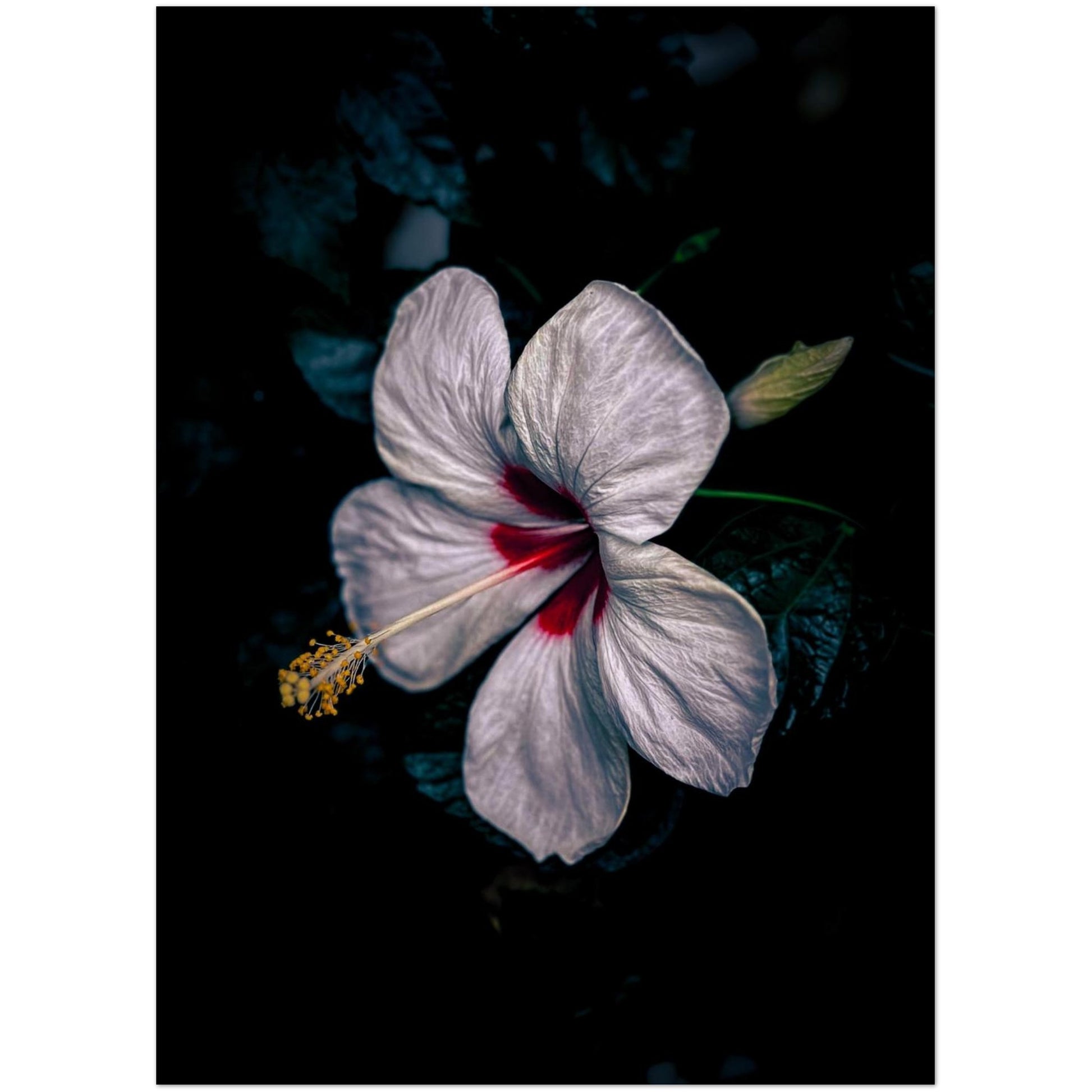 47de6ea4-8a81-4240-8452-c310bfae64e5