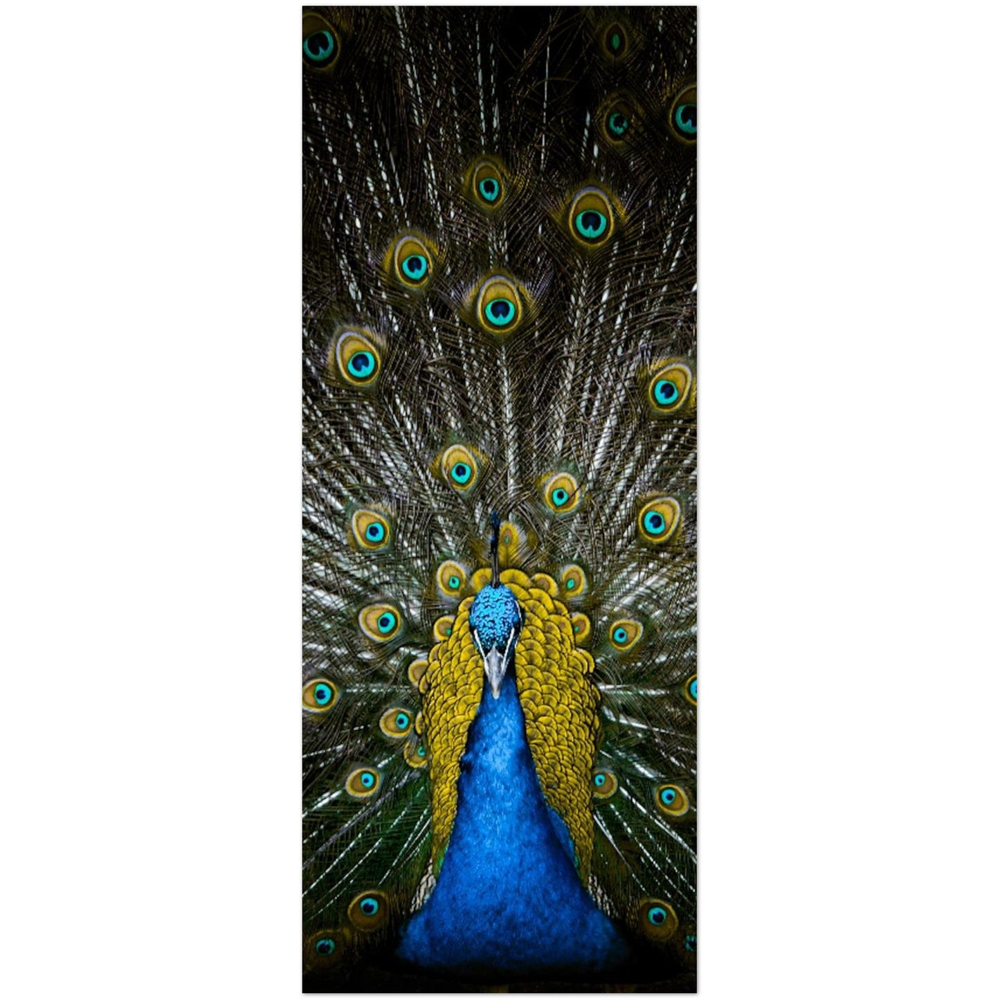 4ae88cab-6076-4238-a88c-b4ab953b54e8