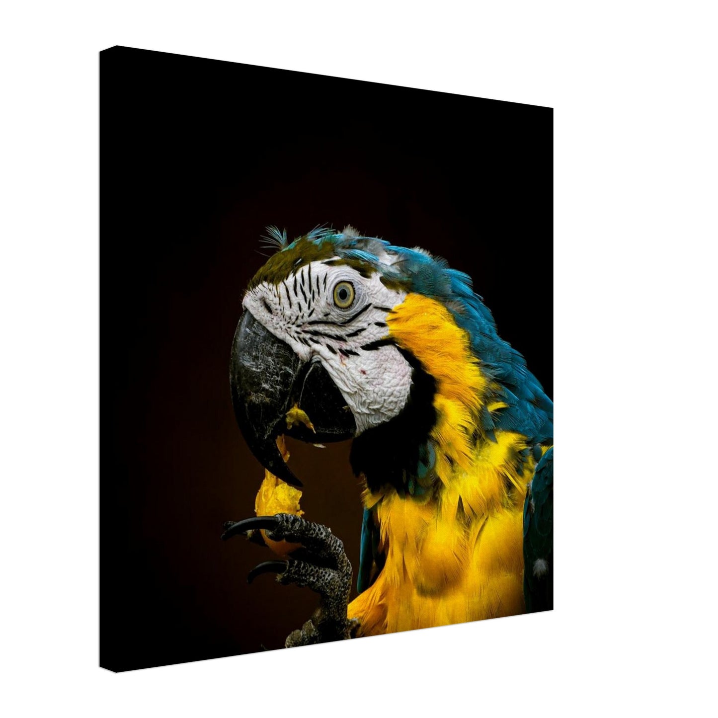 4affd6d1-80ae-4464-b05e-0f3f4dbb6dfa