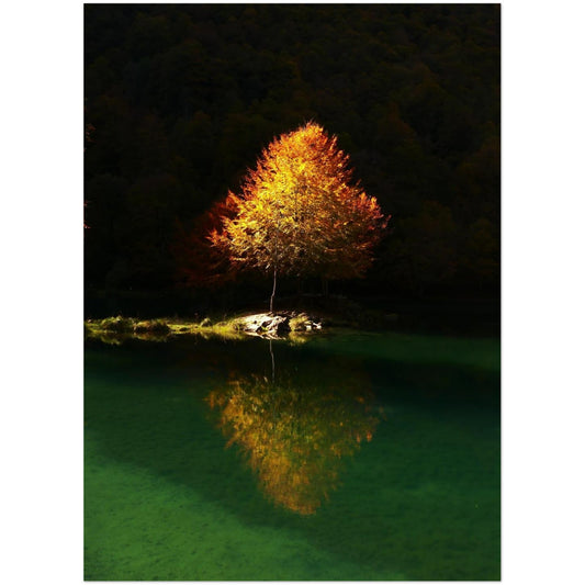 4b723831-865a-4d86-99ee-22864c293a13