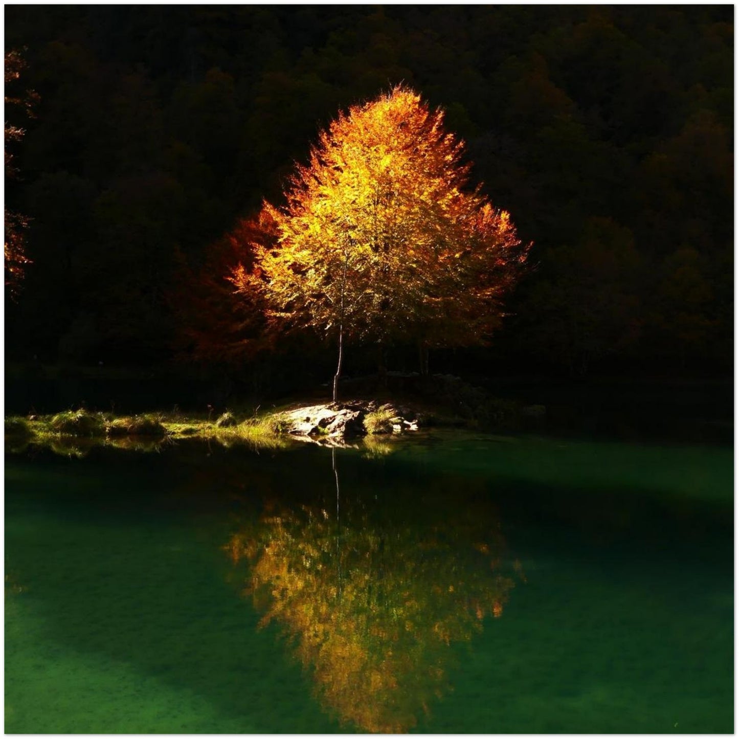 4be3553b-9f46-4c43-8051-d3d92274816f