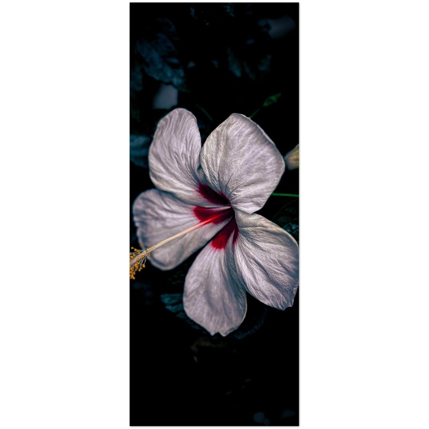 4cc83c55-c0d2-4f83-9b44-1a95379714c6