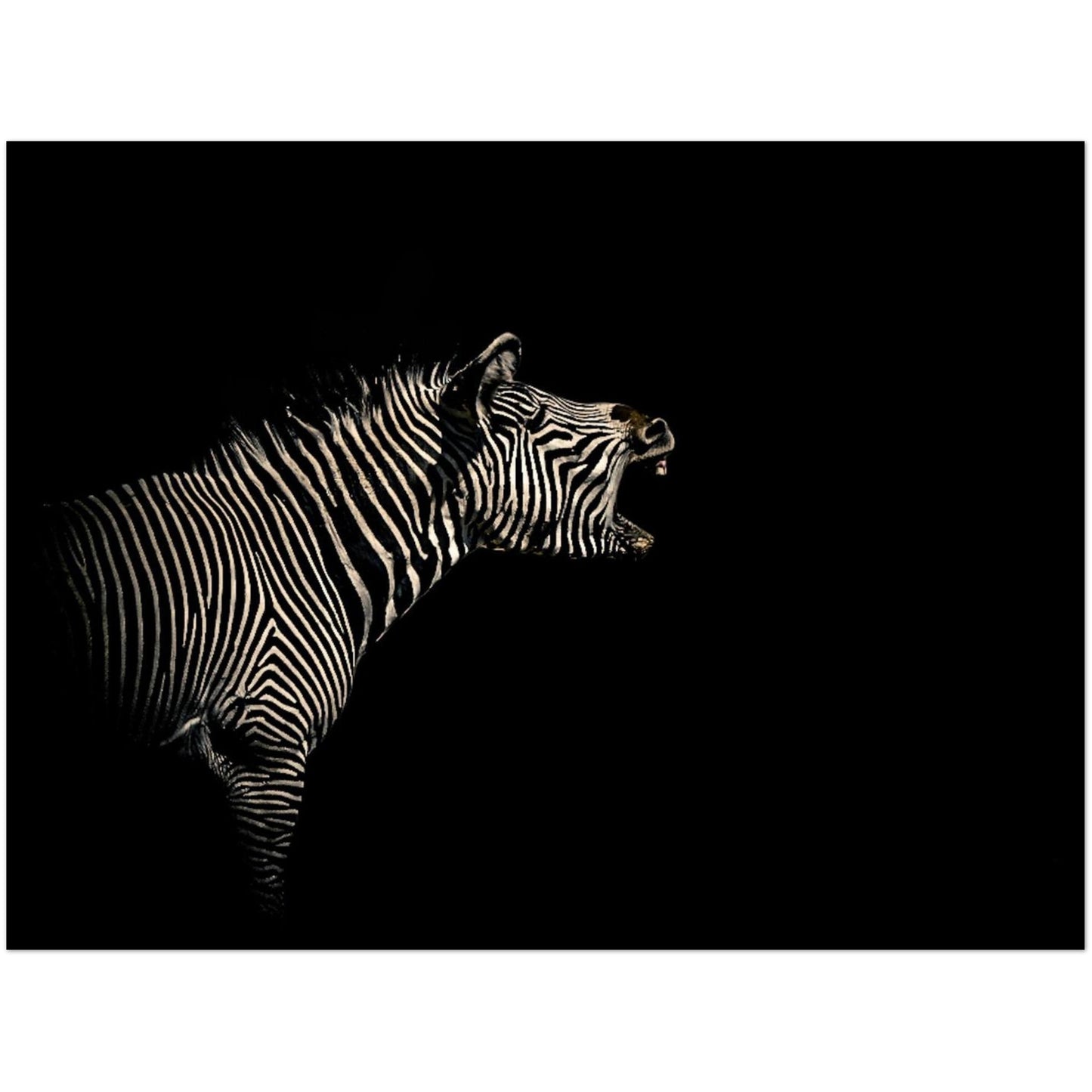 4d46b481-acba-484e-b798-b9bf8415db04