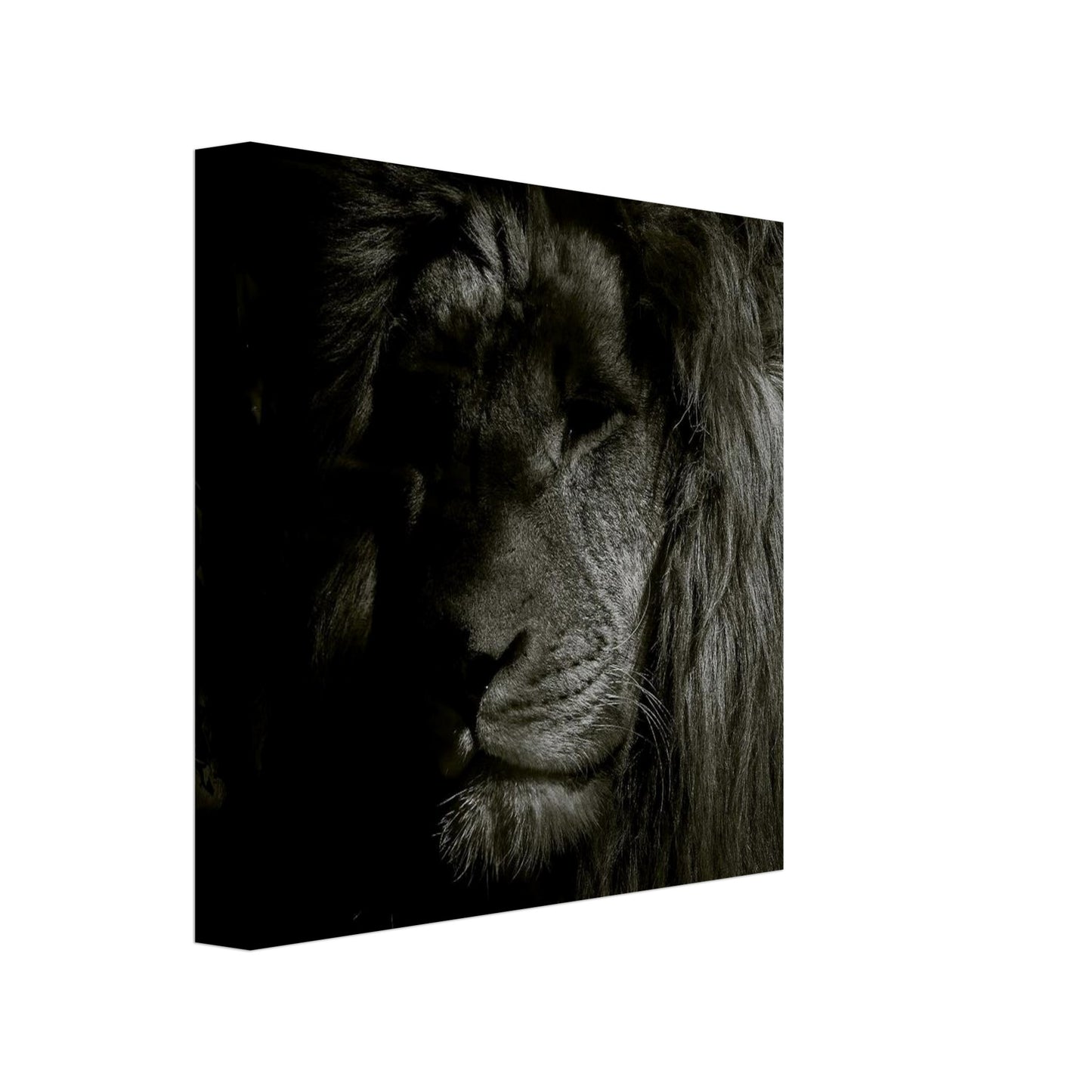 4e329cf1-5291-491b-bff8-122faca8c99d