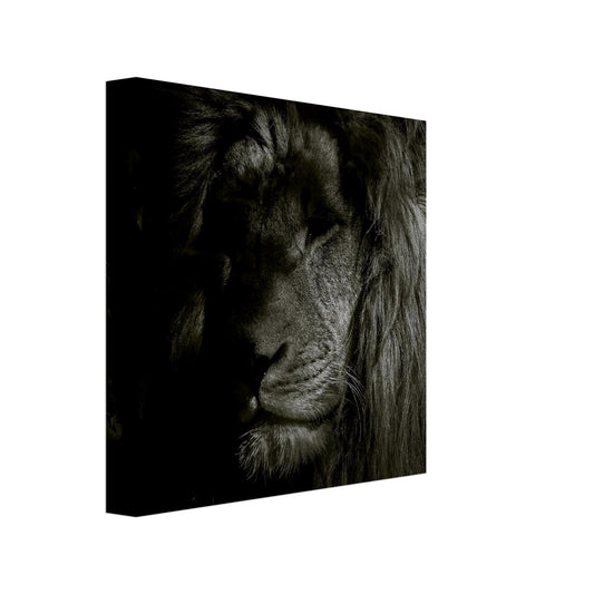 4e329cf1-5291-491b-bff8-122faca8c99d