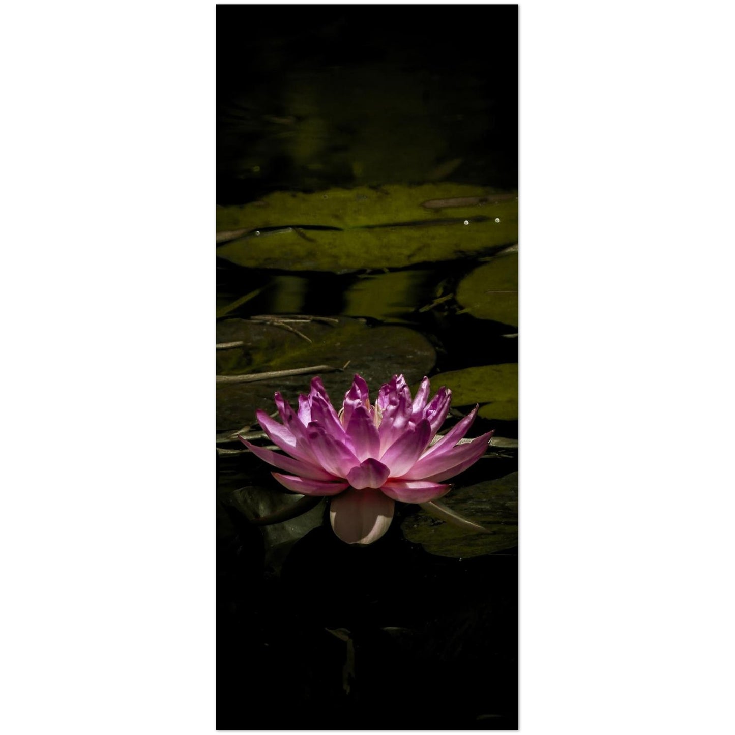 54386ee3-055d-4f25-8502-2e8caf7c6453