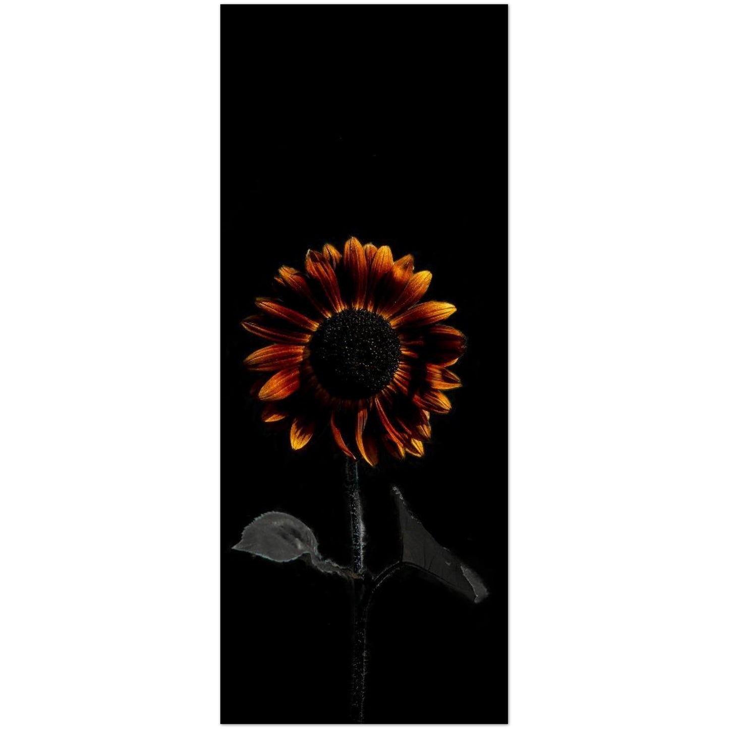 552a7170-8e0c-4239-9335-1589e62ad76e