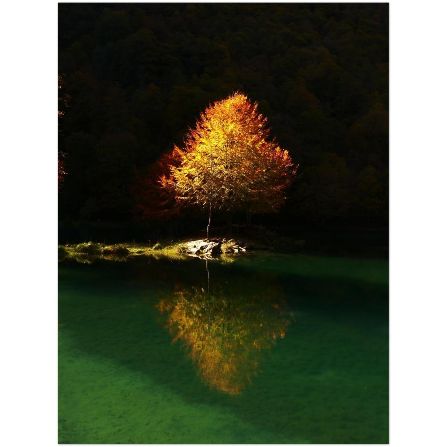 5556d12e-5fc5-41fc-9a29-e7113d44f3b8