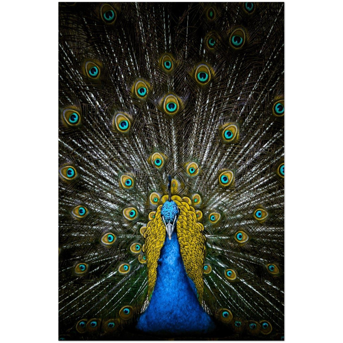 55f413b0-a43c-474d-9cd8-95e255d4ef7c