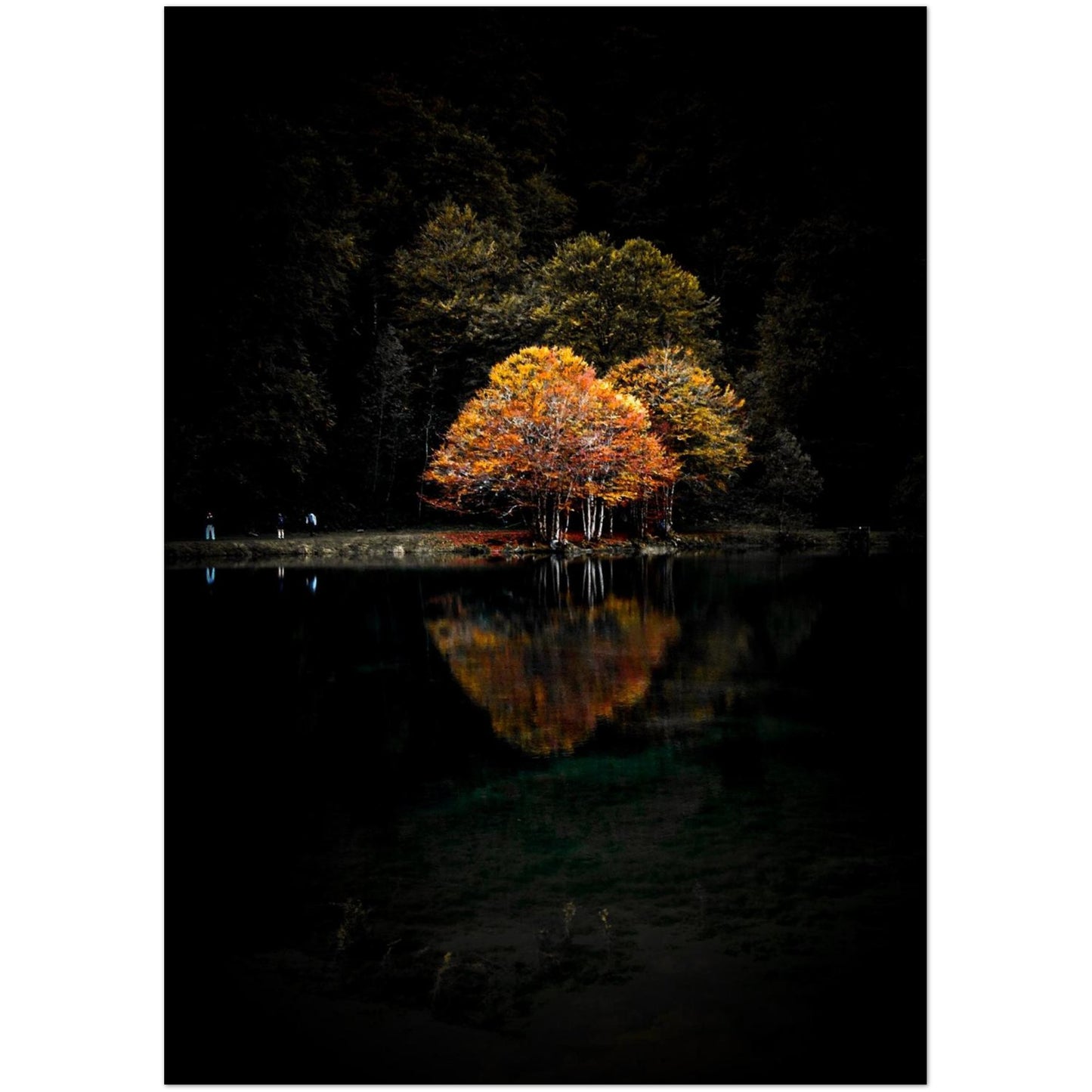 5664dd84-378b-4c58-9650-60ea4e23418f