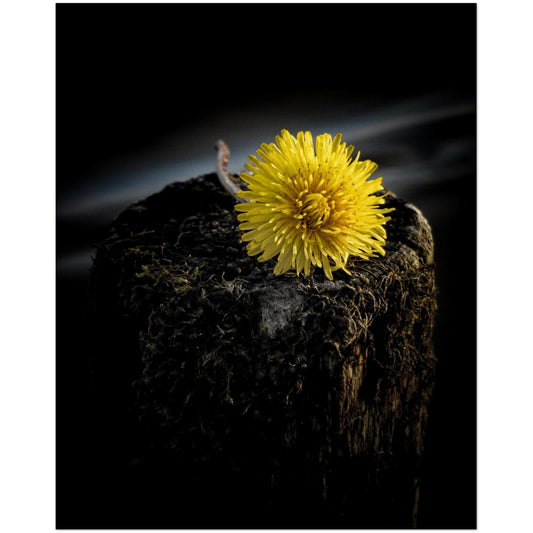 591ec0a7-385c-430a-a92f-225288c55058