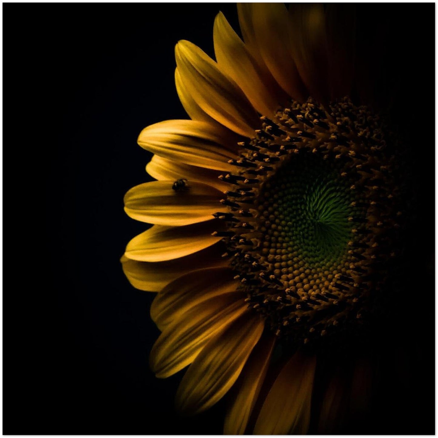 59740964-abf7-4efb-8df7-4f50bacacff4